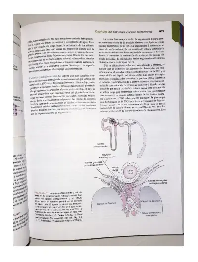 Libro Porth Fisiopatología 10ª Edición - miniatura 6
