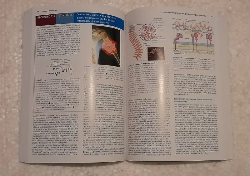 Lehninger. Principios de Bioquímica 7ed. - 2