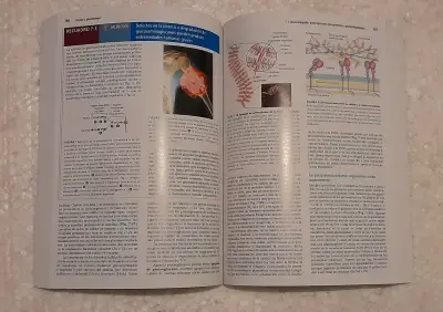Lehninger. Principios de Bioquímica 7ed. - miniatura 2