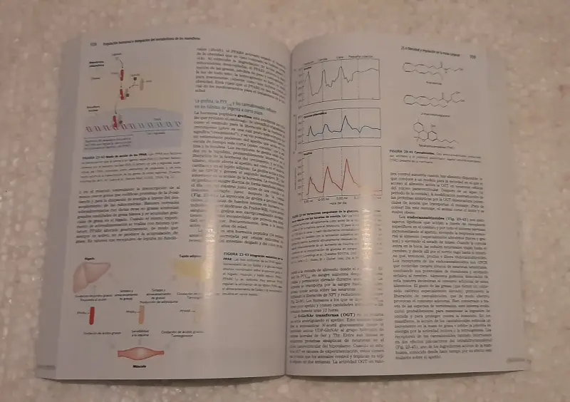 Lehninger. Principios de Bioquímica 7ed. - 4
