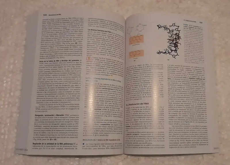 Lehninger. Principios de Bioquímica 7ed. - 5