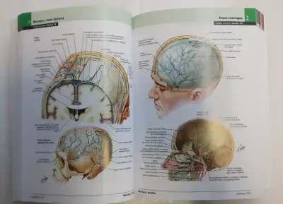 Netter Atlas de Anatomía Humana 7ed - miniatura 6