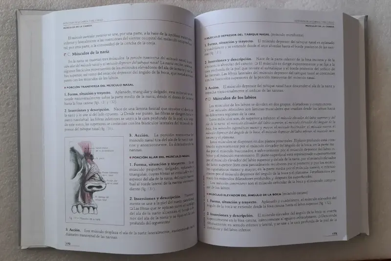 Anatomía Humana de Rouvière - 3