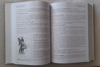 Anatomía Humana de Rouvière - miniatura 3
