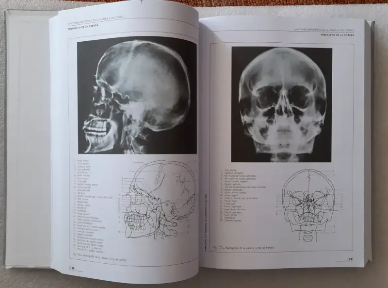 Anatomía Humana de Rouvière - 6