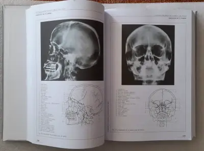 Anatomía Humana de Rouvière - miniatura 6