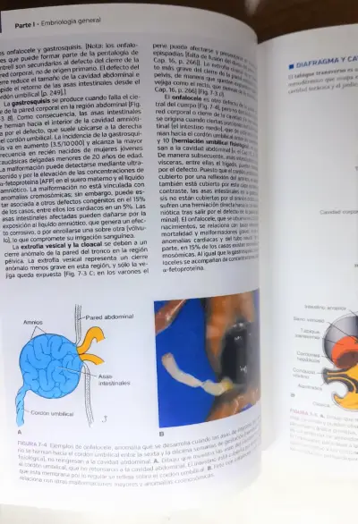 Libro Embriología Médica 14ª Edición - miniatura 4