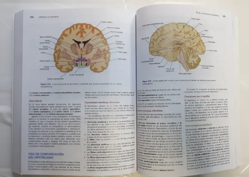 Libro Neuroanatomía Clínica de Snell - 4