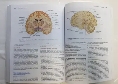 Libro Neuroanatomía Clínica de Snell - miniatura 4