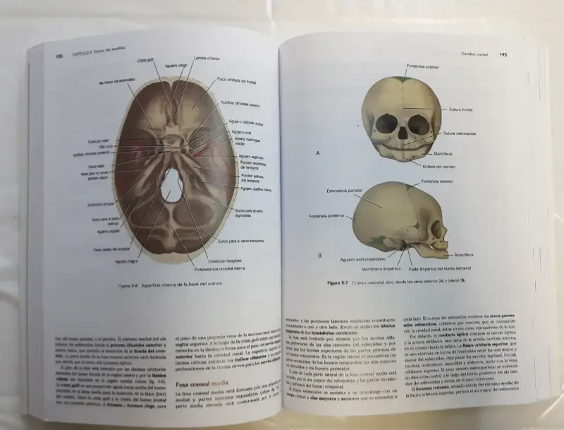Libro Neuroanatomía Clínica de Snell - 5