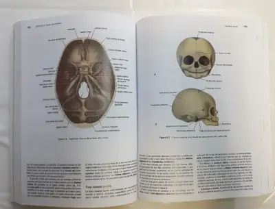 Libro Neuroanatomía Clínica de Snell - miniatura 5