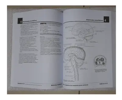 NETTER. CUADERNO DE ANATOMIA PARA COLOREAR 2ED - miniatura 3