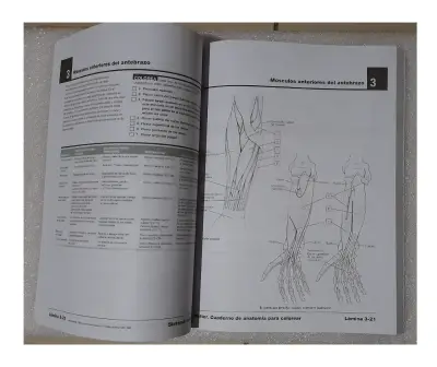 NETTER. CUADERNO DE ANATOMIA PARA COLOREAR 2ED - miniatura 4