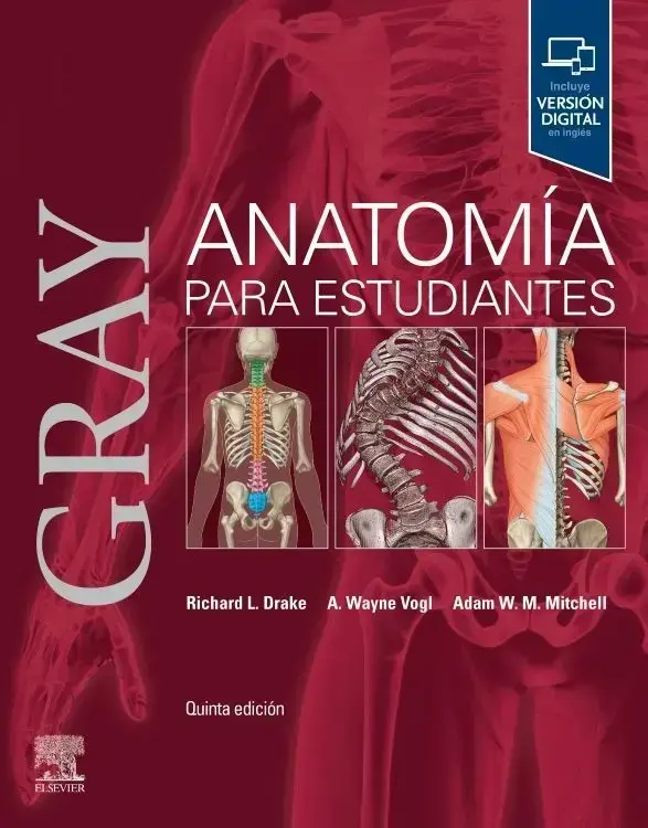 Gray Libro Anatomía para Estudiantes 5ed