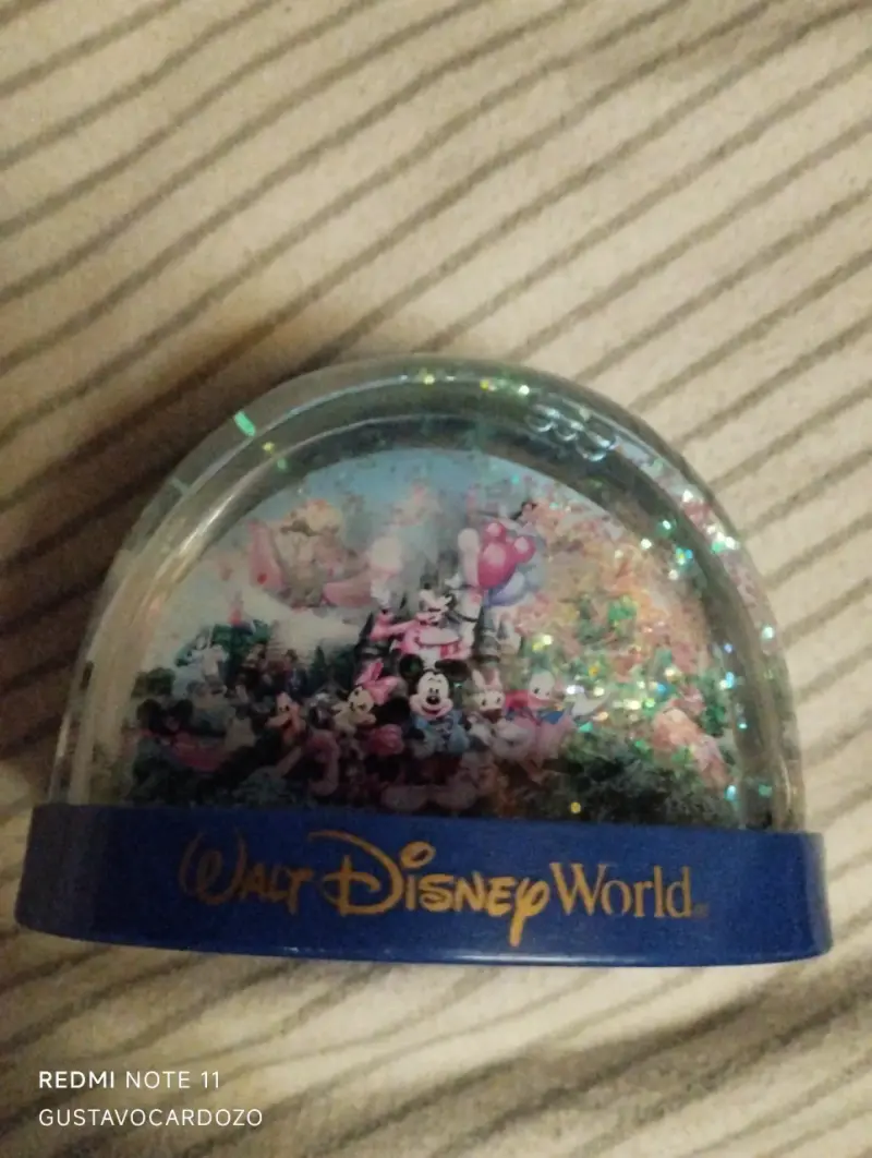 Bola de nieve Walt Disney World