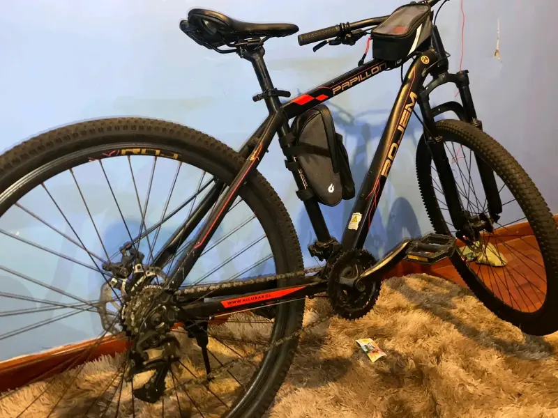 Bicicleta rojen - 1