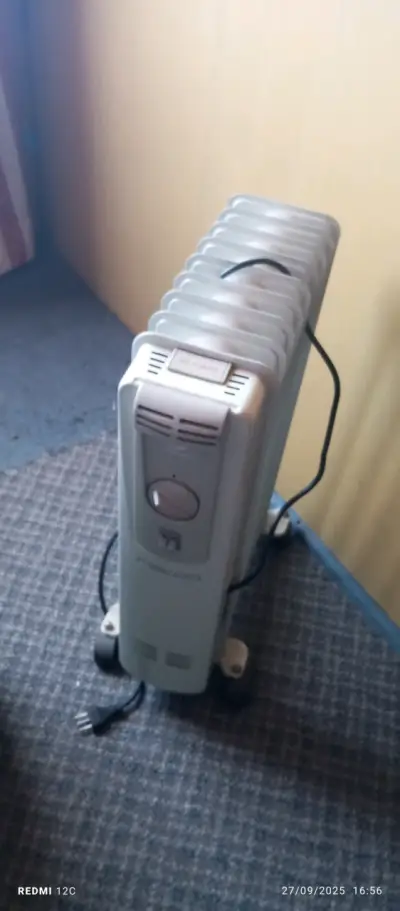 Calefactor eléctrico de aceite - miniatura 1