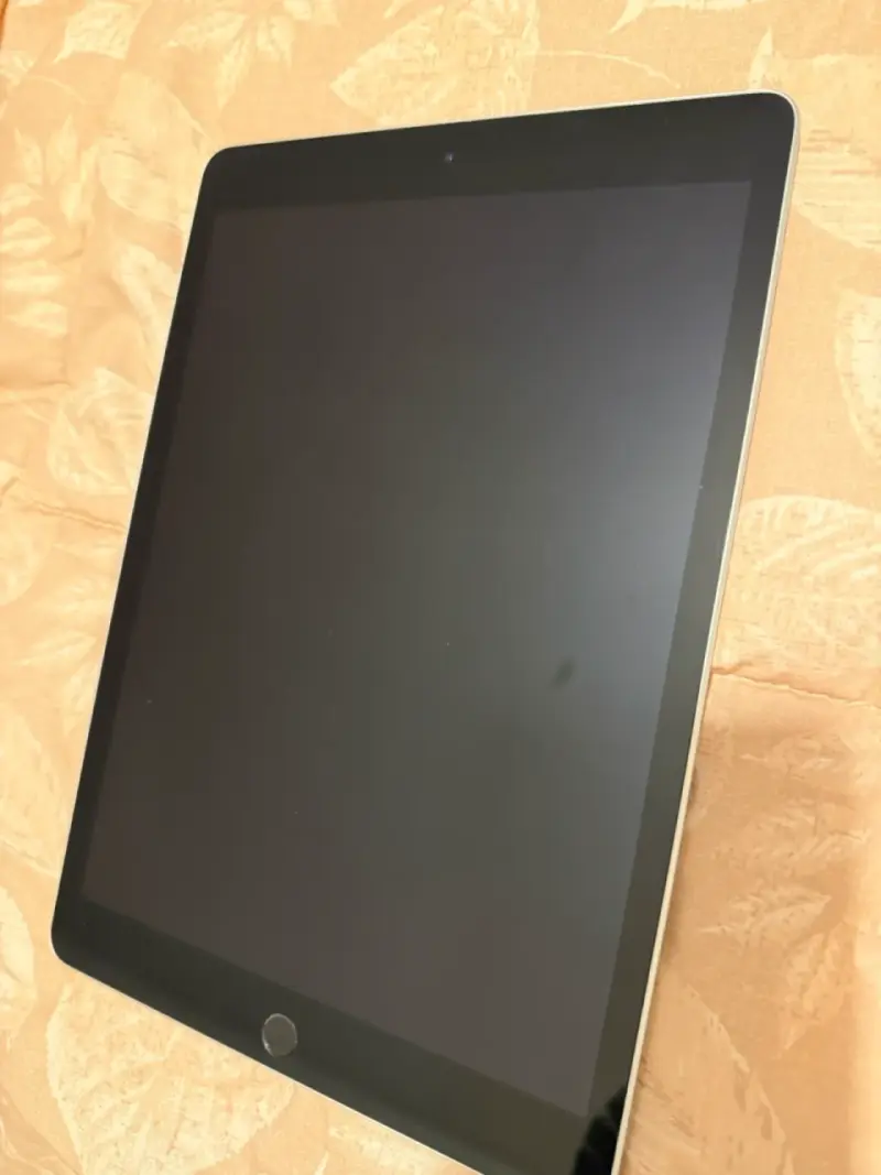 iPad novena generación 256GB - 3