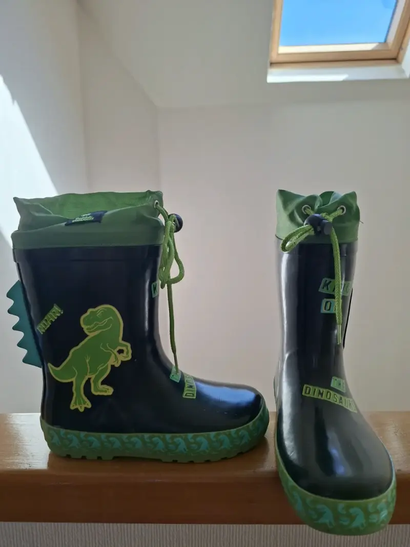 Botas impermeables con dinosaurio