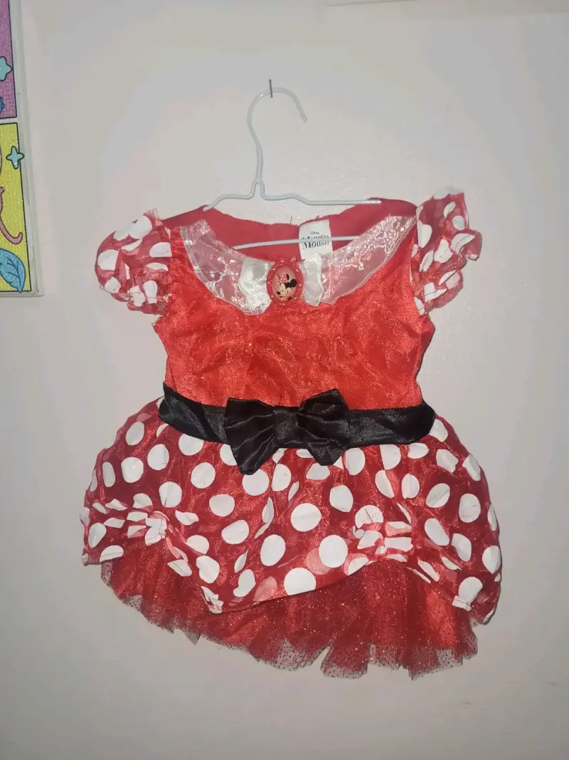 Disfraz Minnie 12 meses - 1