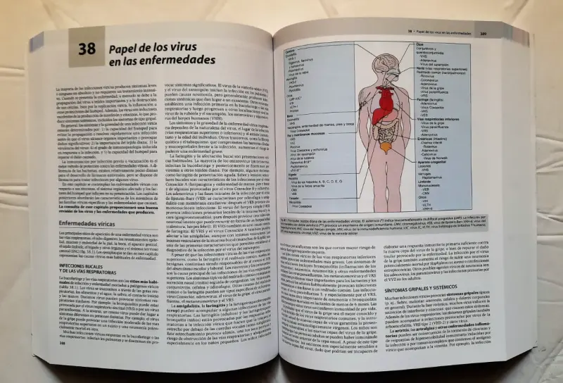 Libro Microbiología Médica (9ª edición) - 3