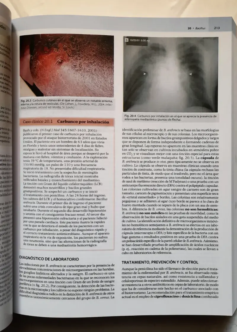 Libro Microbiología Médica (9ª edición) - 5