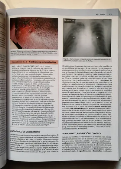 Libro Microbiología Médica (9ª edición) - miniatura 5