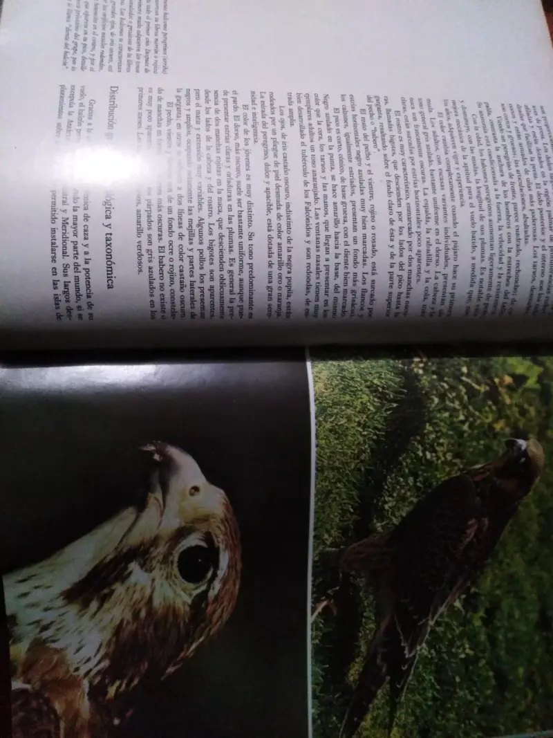 Enciclopedia Salvat de la Fauna Vol. 5 - 4