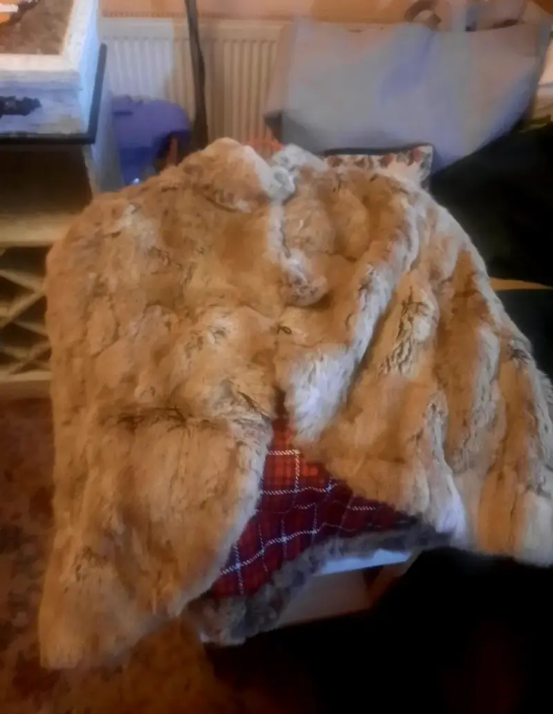 Capa de piel de conejo con gorro - 3