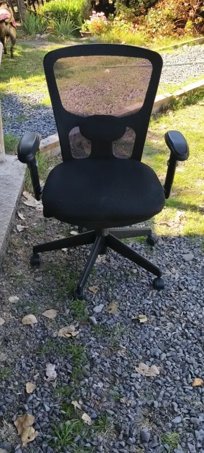 Silla de oficina ergonómica negra - miniatura 1