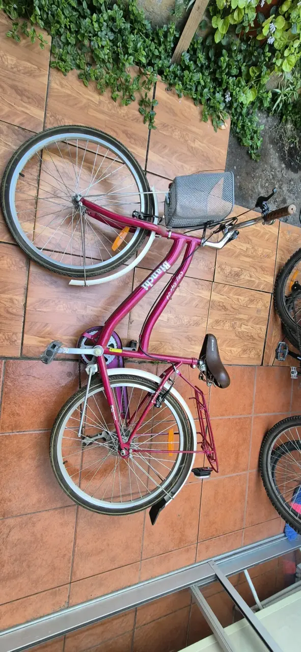 Bicicleta rosada de paseo - 2