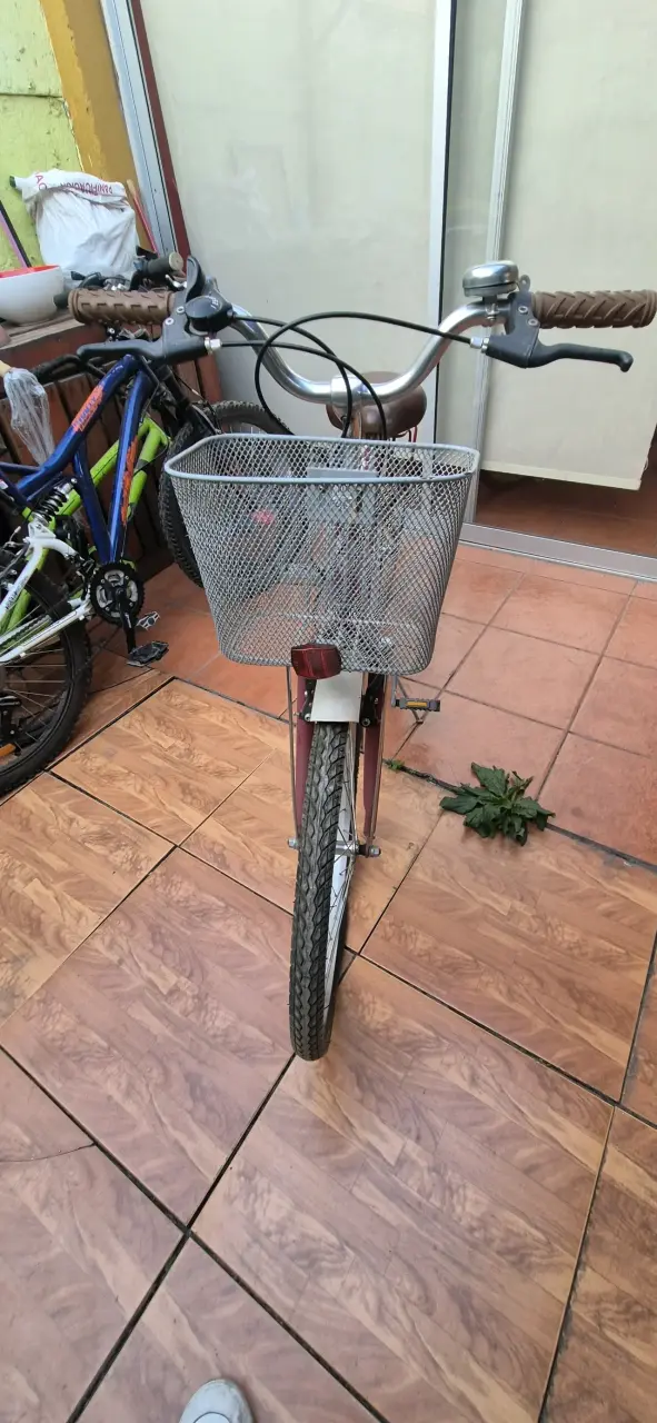 Bicicleta rosada de paseo - 3