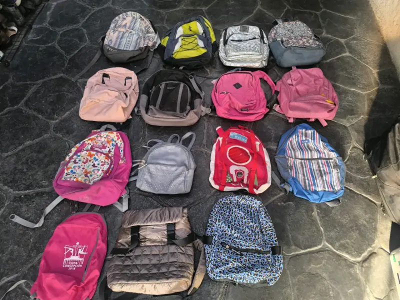 Lote de mochilas variadas