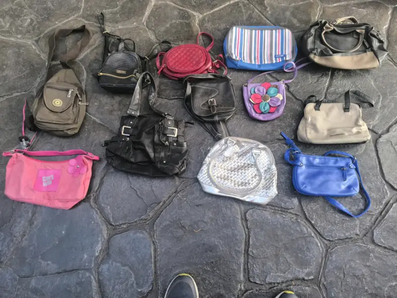 Lote de carteras variadas