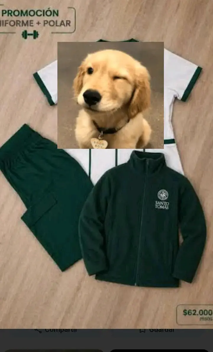 Conjunto uniforme Santo Tomás - 1