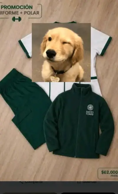 Conjunto uniforme Santo Tomás - miniatura 1