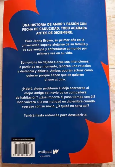 Libro Antes de diciembre - miniatura 2