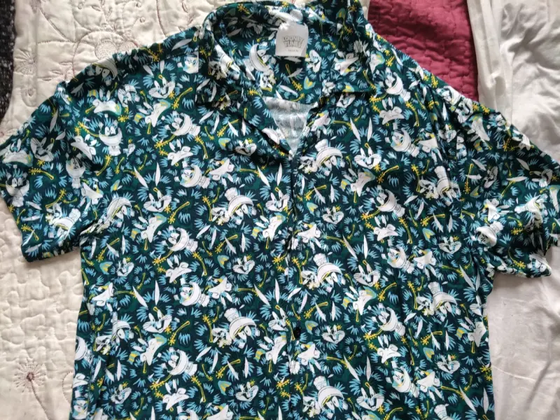 Camisa estampada Looney Tunes