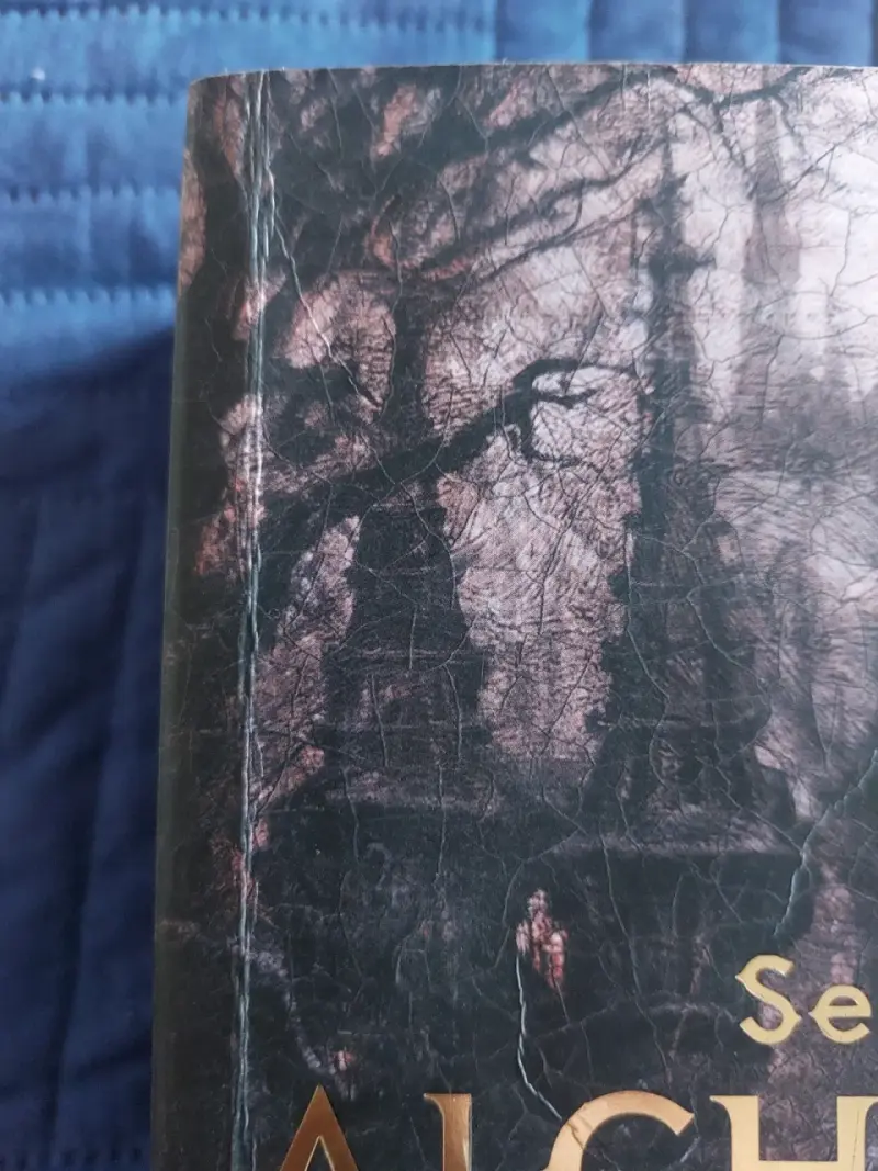 Libro Alchemised de SenLinYu - 4