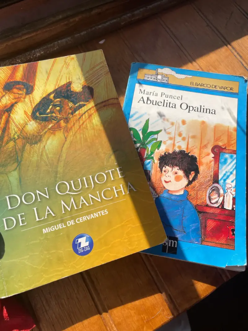 Pack de Libros Don quijote y la abuela opalina - 1