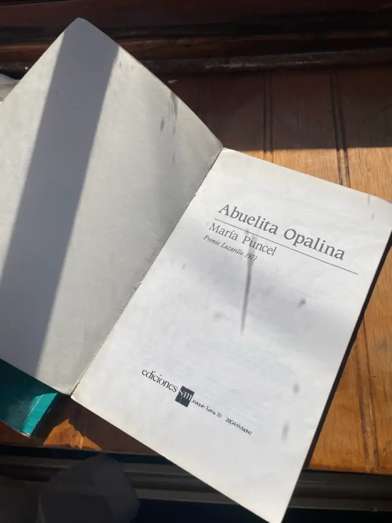 Pack de Libros Don quijote y la abuela opalina - 4