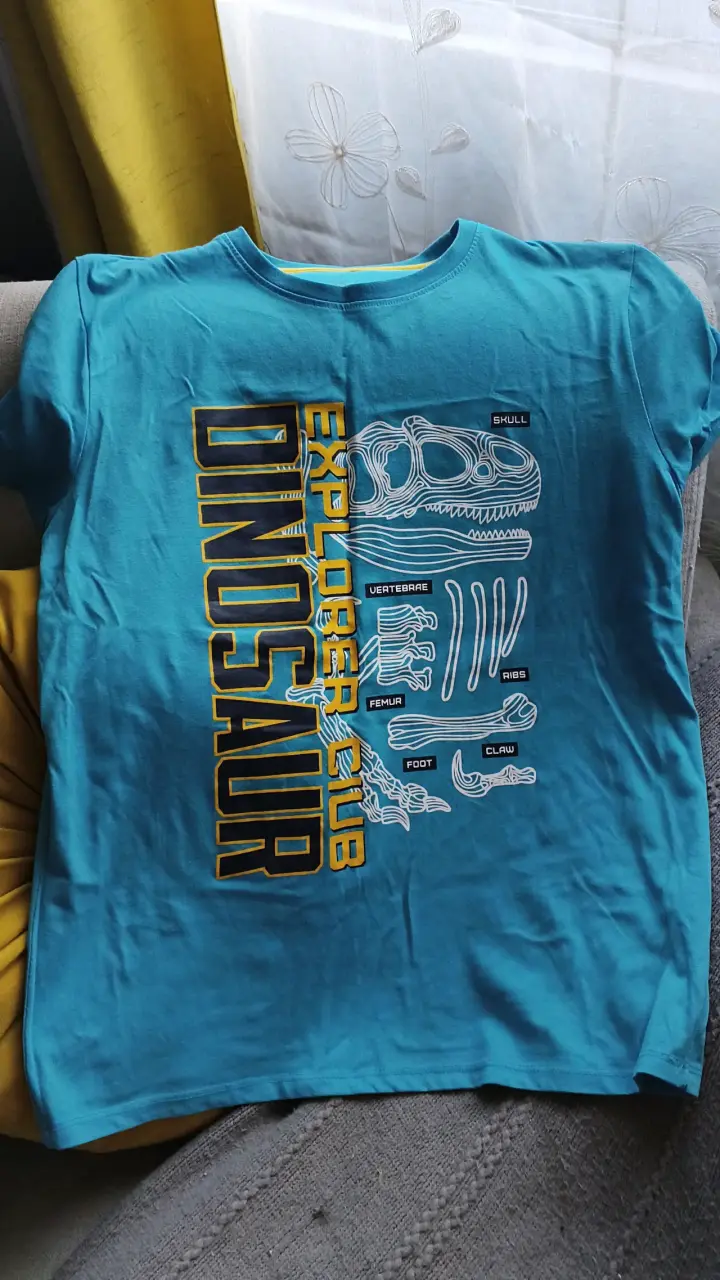 Poleras varias - 2