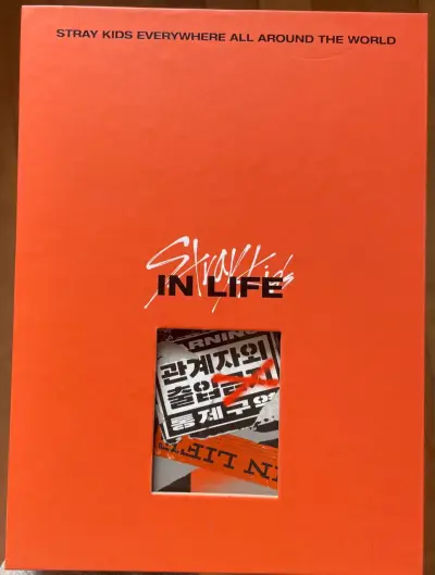 Álbum Stray Kids In Life - miniatura 1