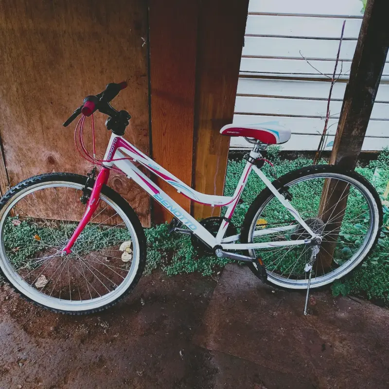 Bicicleta urbana blanca y roja