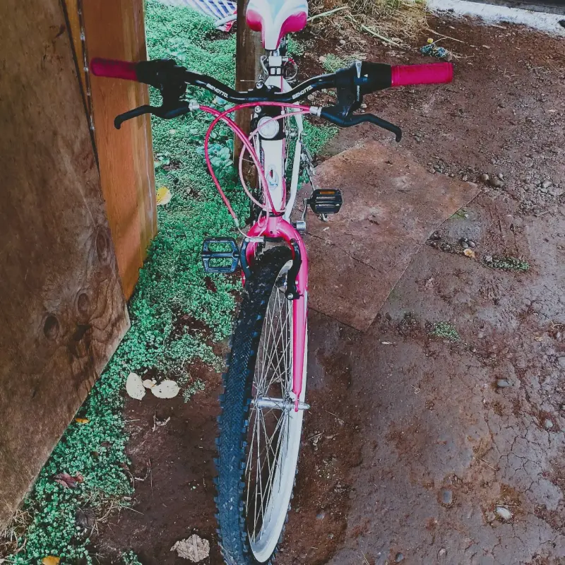 Bicicleta urbana blanca y roja - 3