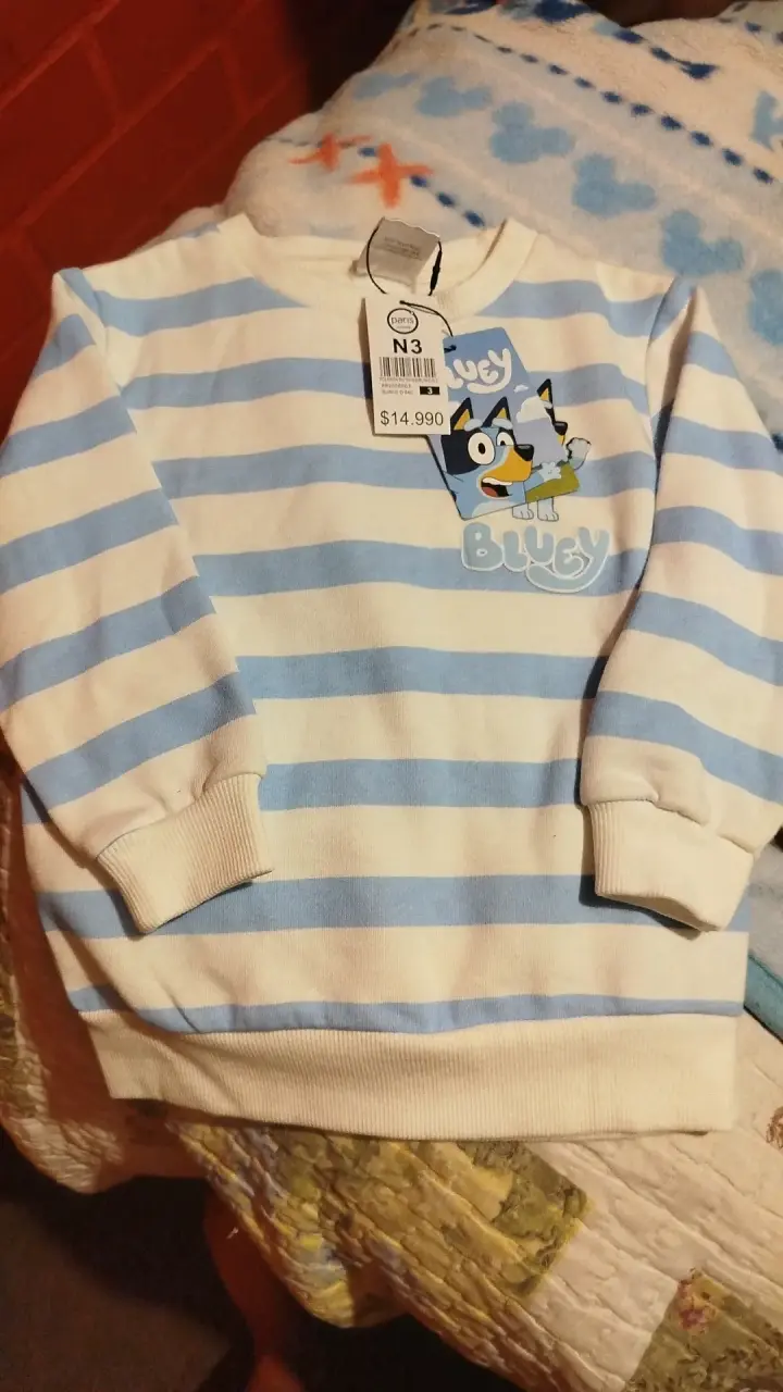 Polera de franjas Bluey