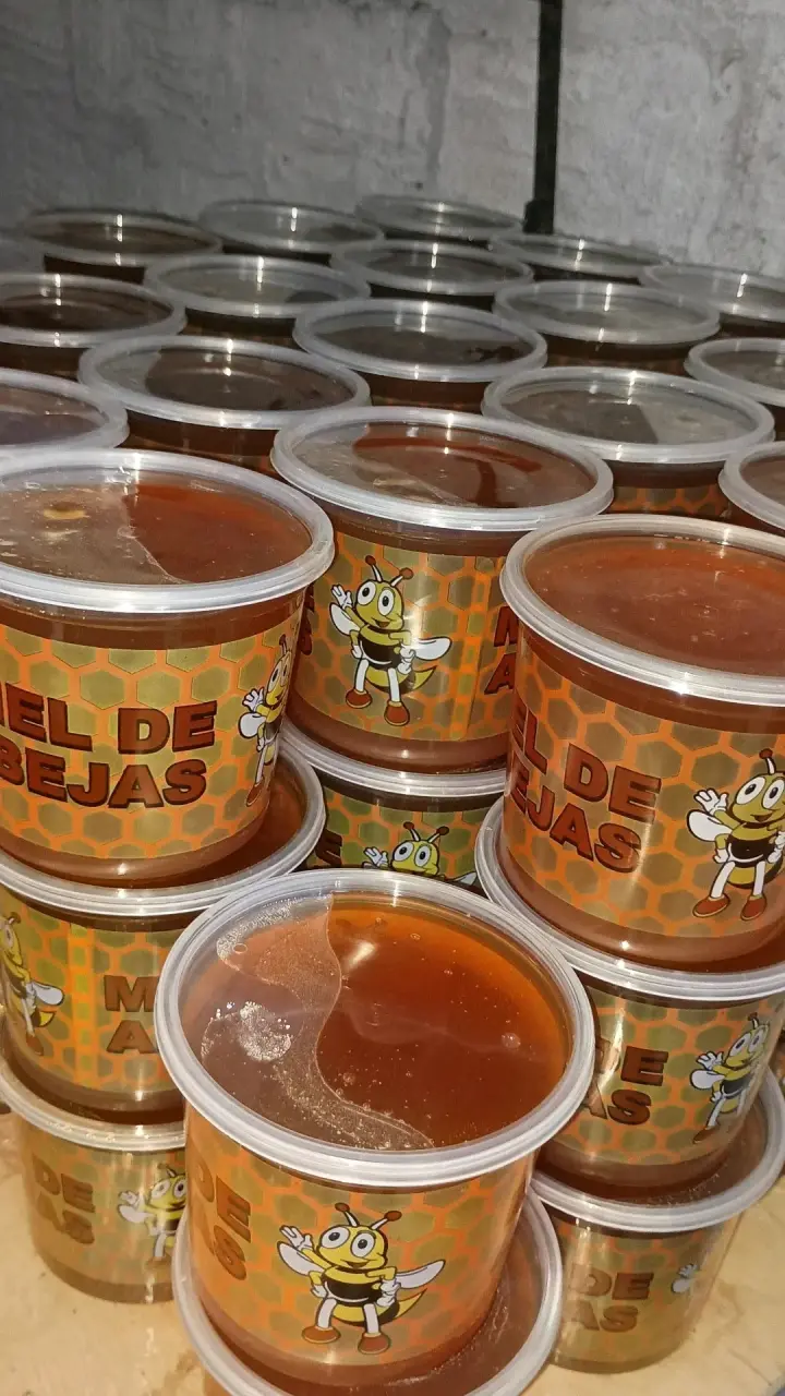 Miel de abeja en envase plástico - 1