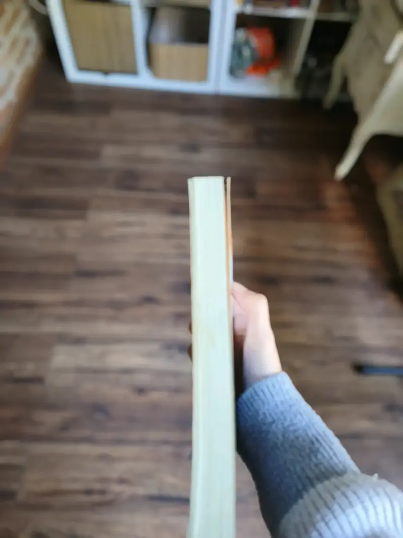 Libro 'Mala Onda' de Alberto Fuguet - 4