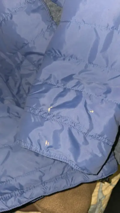 Chaqueta azul Carhartt - miniatura 5