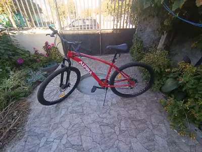 Bicicleta Alpina roja - miniatura 2